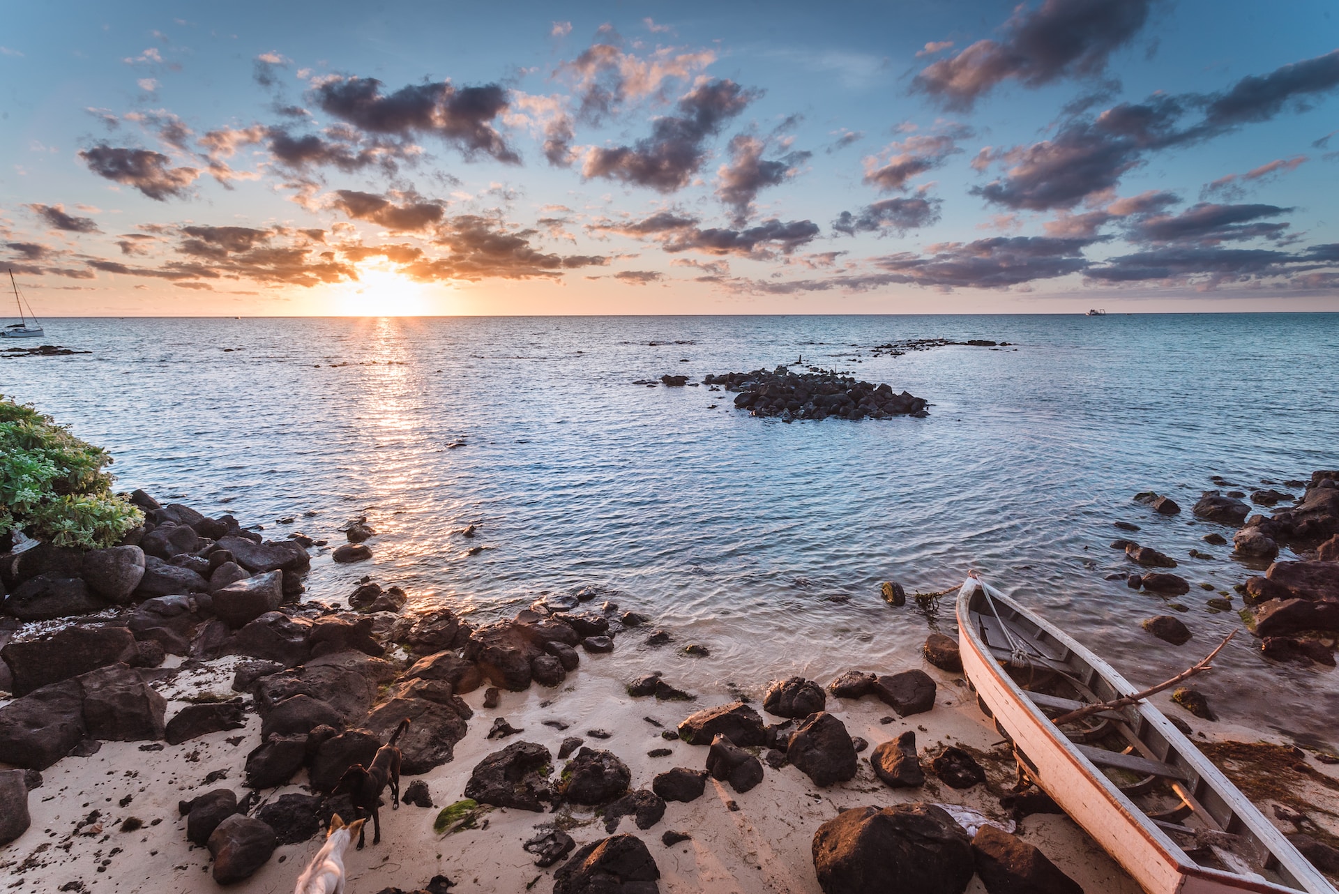 Adelaide’s Coastal Charms: Exploring Beaches in South Australia